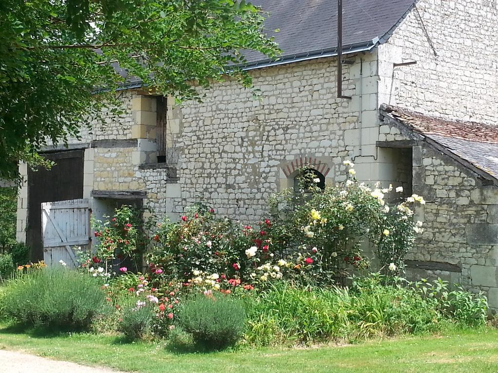 לינה וארוחת בוקר Nouâtre La Cle Des Jardins מראה חיצוני תמונה