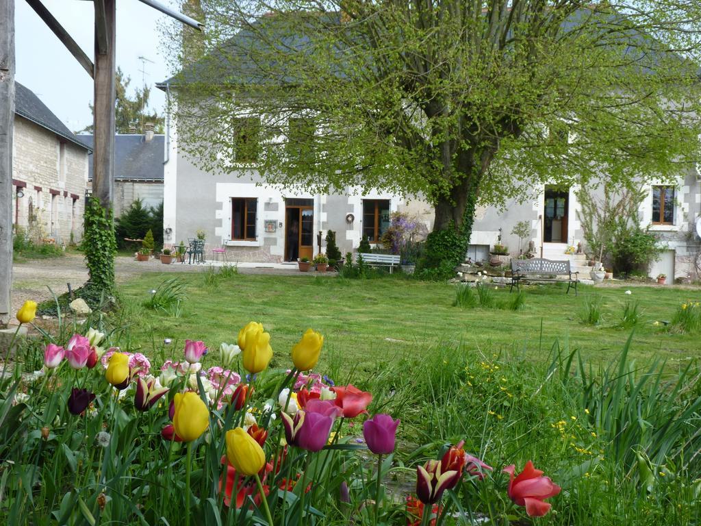 לינה וארוחת בוקר Nouâtre La Cle Des Jardins מראה חיצוני תמונה