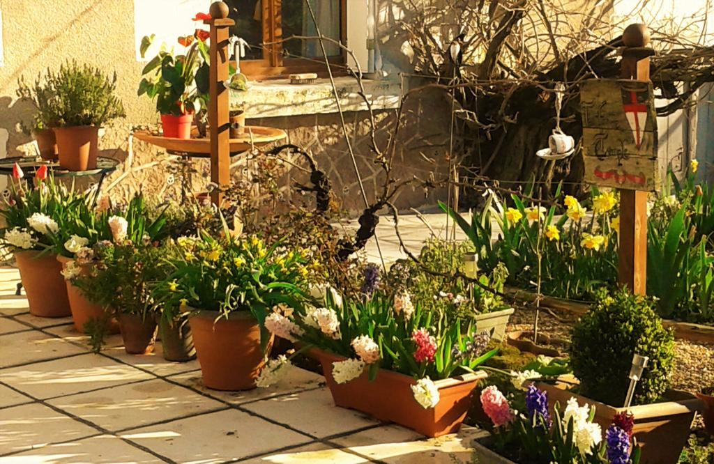 לינה וארוחת בוקר Nouâtre La Cle Des Jardins מראה חיצוני תמונה
